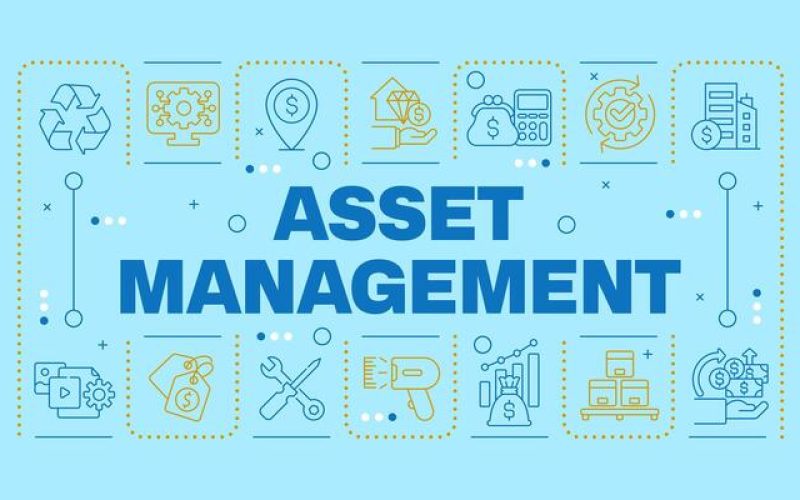 asset-management-blue
